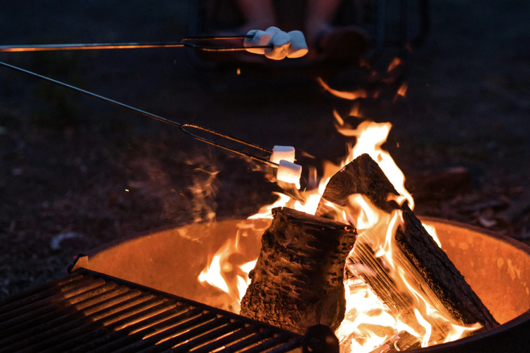 roasting marshmellows is a common activity in summer camp for adults